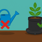 Side-by-side illustration comparing a watering can with a red X to a self-watering fabric pot base with a green checkmark, highlighting improved watering efficiency.
