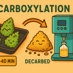“Step-by-step cartoon of cannabis flower going from raw buds in an oven to golden, decarbed material, with a LEVO machine infusing oil on the side.”