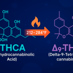 Scientific-style infographic illustrating the decarboxylation process of THCa converting into Delta-9 THC when exposed to heat, with molecular icons, temperature indicators, and cannabis leaf graphics on a clean, professional background.