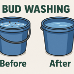 “Infographic showing two blue buckets labeled Before and After. The Before bucket contains dirty water with debris, while the After bucket has clean water, illustrating the bud washing process for cannabis.”