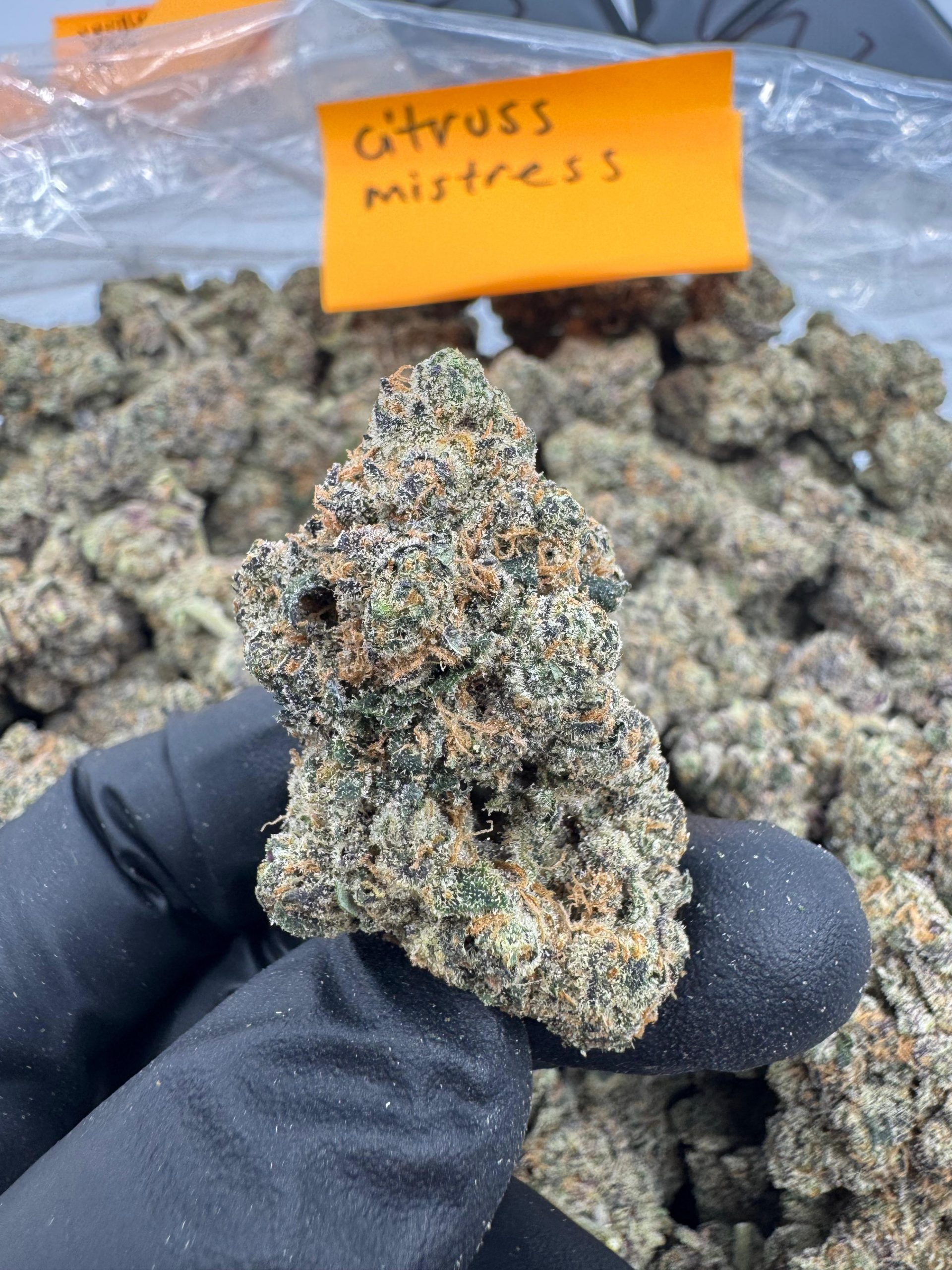 Thca flower from loudmylarbags.com