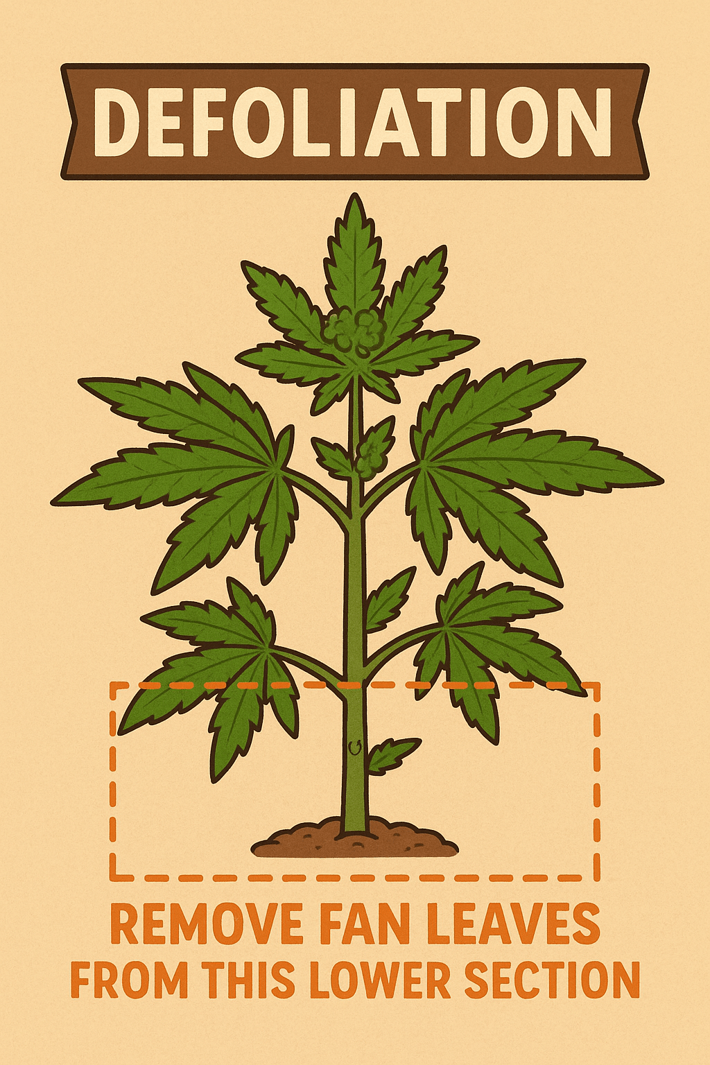 “Educational cartoon-style diagram showing a cannabis plant with a highlighted lower section labeled ‘Remove fan leaves from this lower section,’ illustrating defoliation zones for better light penetration and airflow.”