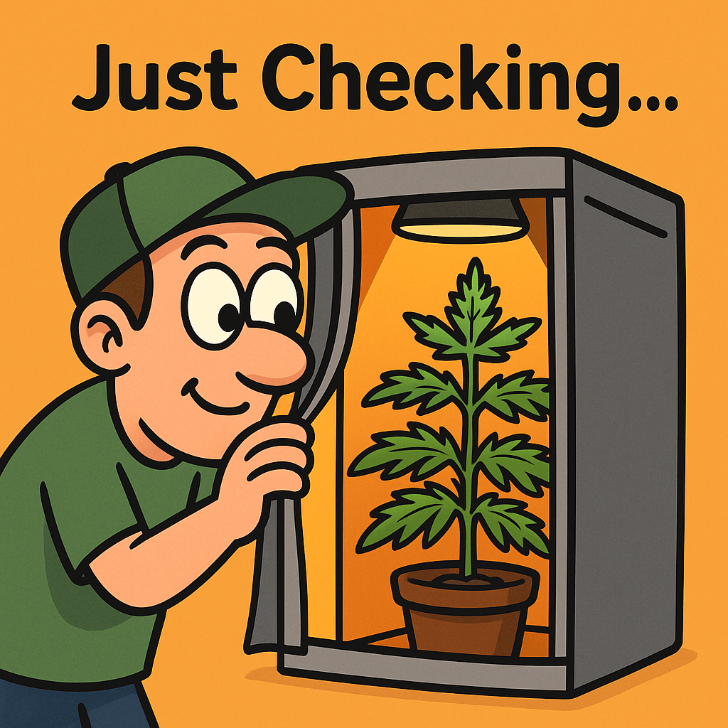 Funny 2D cartoon of a grower in a green hat peeking into a glowing hemp grow tent with a healthy plant inside, with the text “Just Checking…” centered clearly at the top.